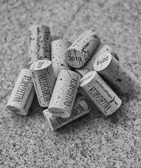 Ochutnávka španělských vín Bodegas Pardevalles a Pago de Vallegarcía