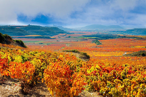 La Rioja